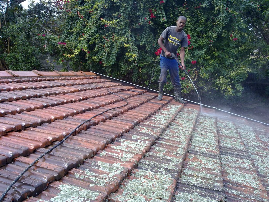 Roof Cleaning 